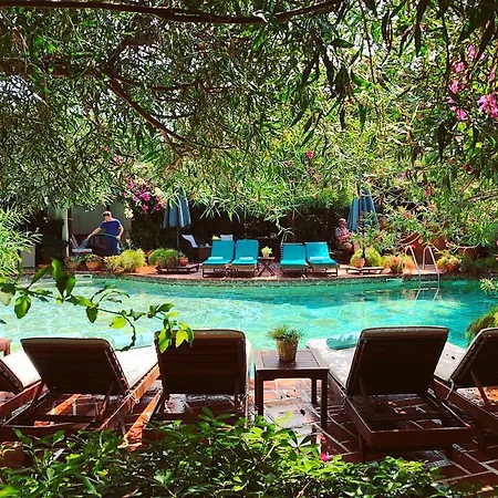 Hotel El Vino &
