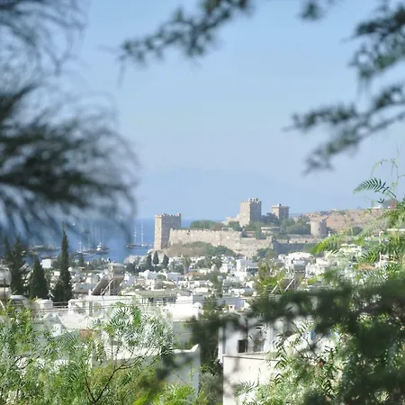 وأجنحة ال فينو فندق 4*