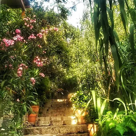 El Vino & Hotel 4*