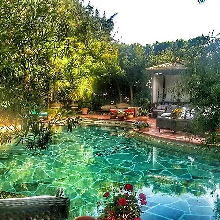 El Vino & 4* Bodrum