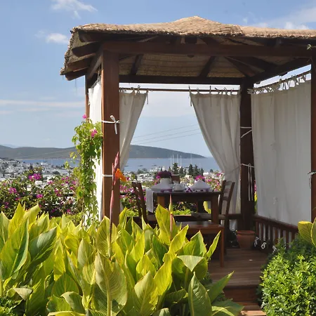 엘 비노 앤드 스파 3* Bodrum