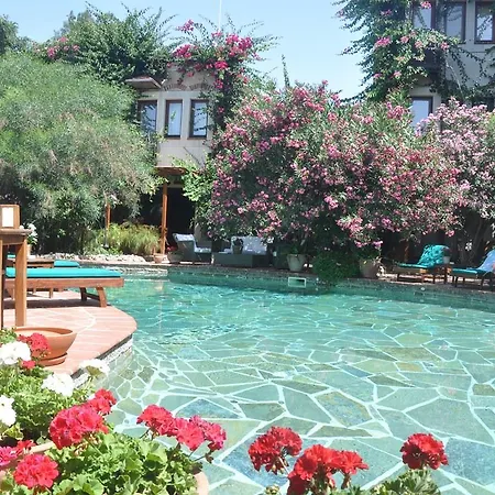 Hotel El Vino & Bodrum