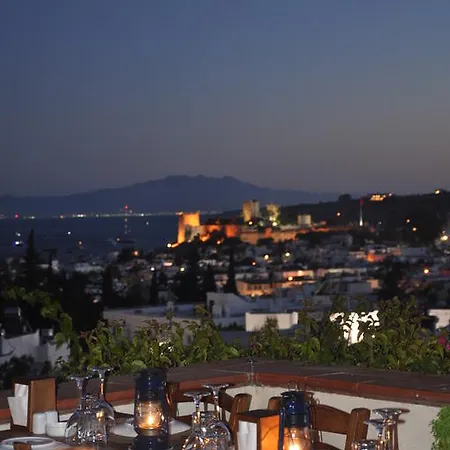 El Vino & 4* Bodrum
