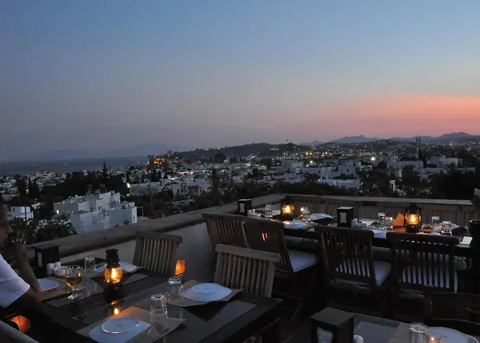 El Vino & Bodrum