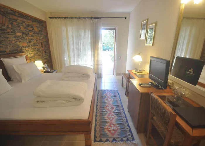 El Vino & Bodrum
