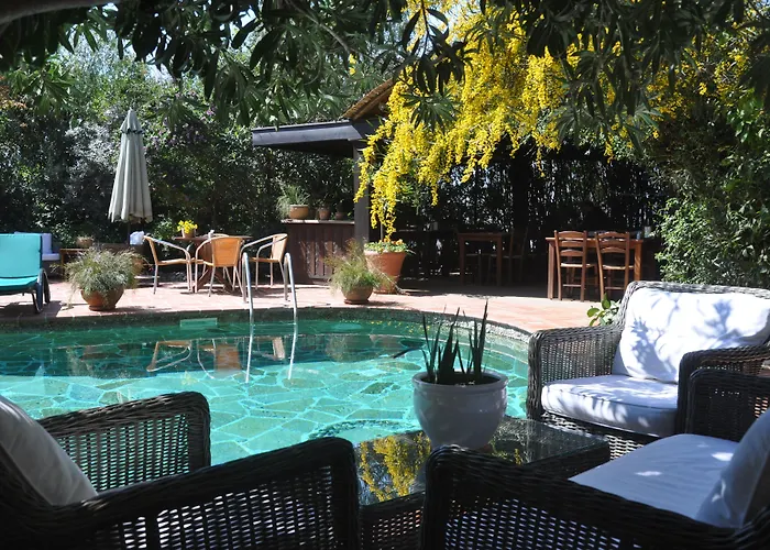 Hotel El Vino &