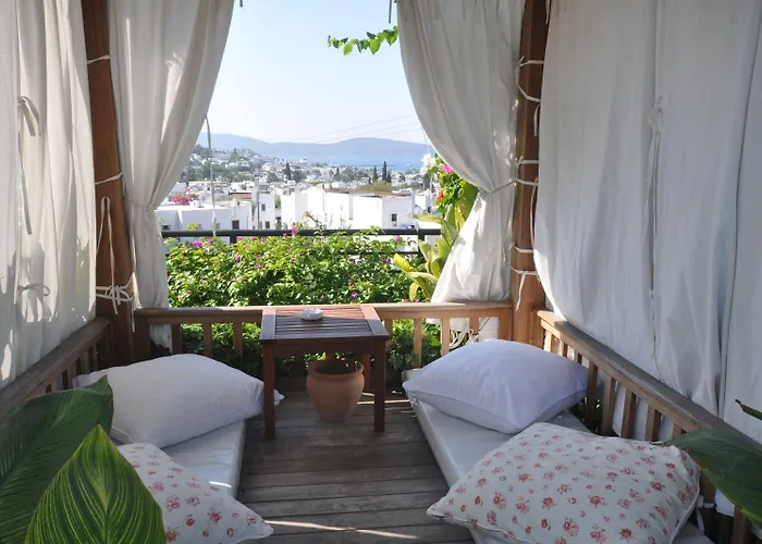 El Vino & Bodrum
