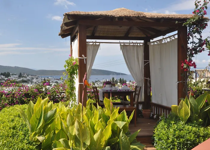 El Vino & 3* Bodrum