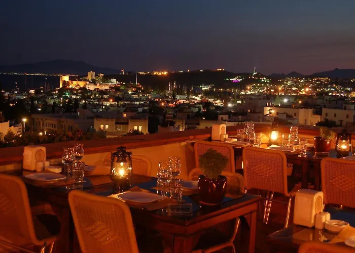 El Vino & Bodrum