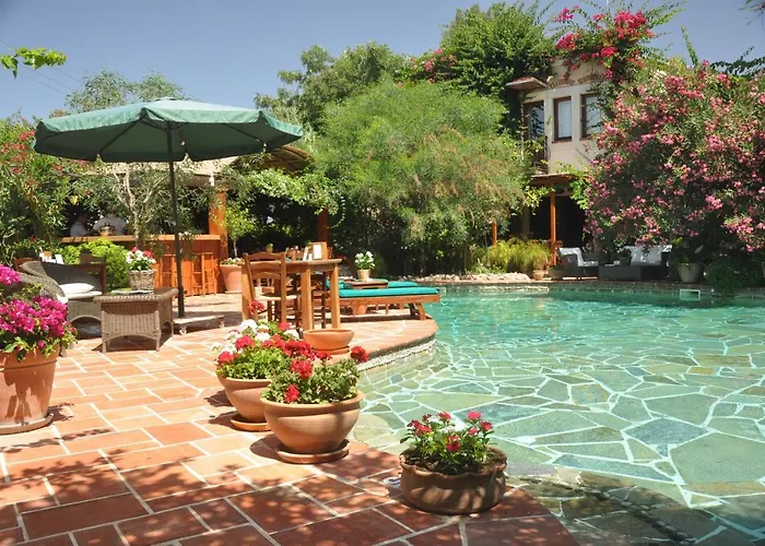 El Vino & Hotel 3*