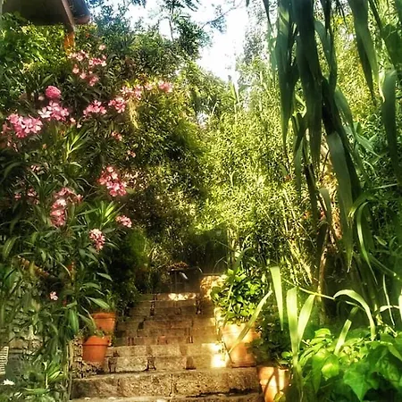 艾莉维诺套房酒店 酒店 3*