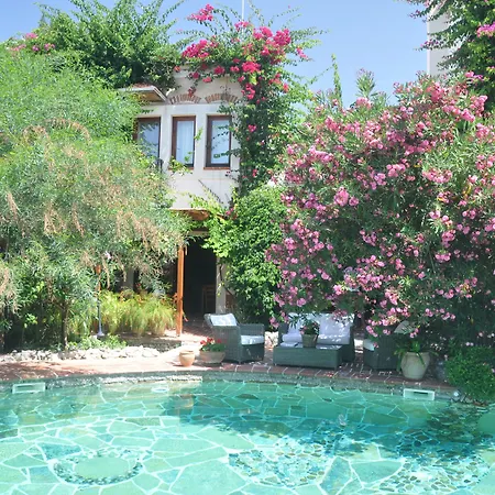 El Vino Hotel&suites Hotel Bodrum