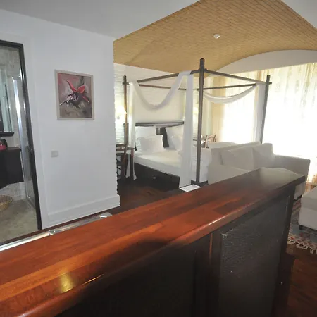 El Vino & Бодрум