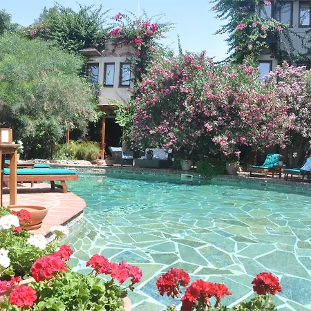 El Vino & Бодрум