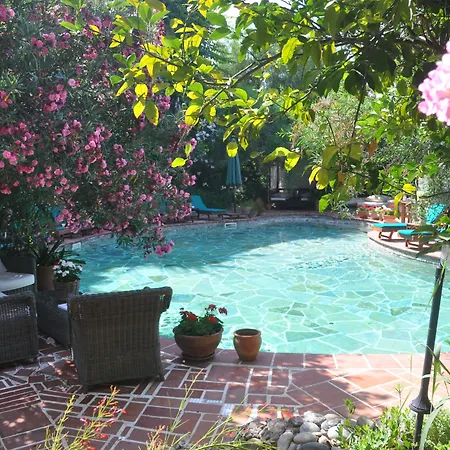 Hotel El Vino Hotel&suites