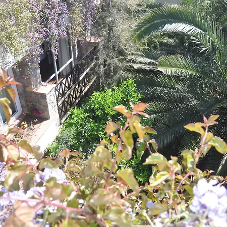 El Vino & Бодрум