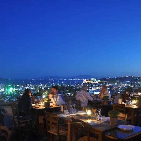 艾莉维诺套房酒店 酒店 博德鲁姆