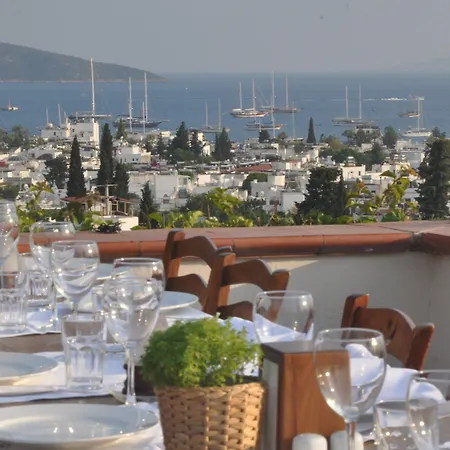 Отель El Vino &