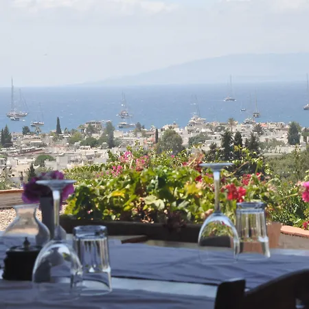 El Vino Hotel&suites Hotel 3*