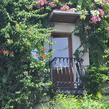 酒店 艾莉维诺套房酒店 3*