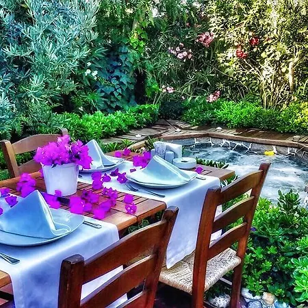 酒店 艾莉维诺套房酒店 3*