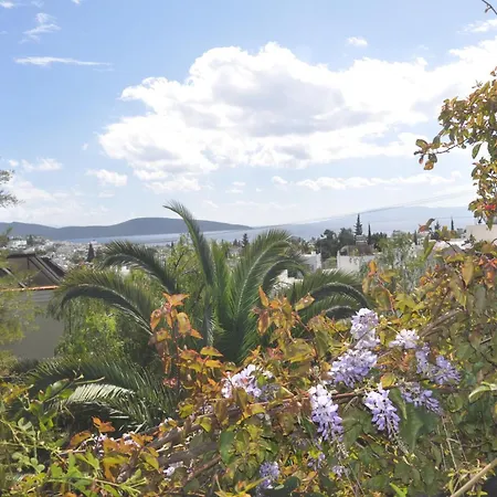 El Vino Hotel&suites 3*