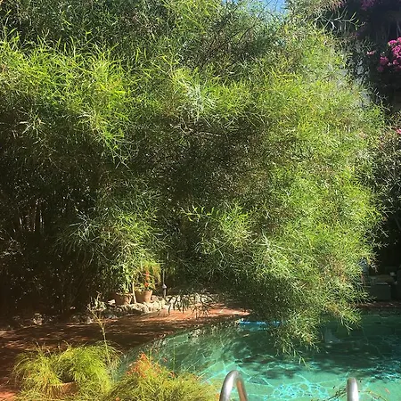 El Vino & 3* Бодрум