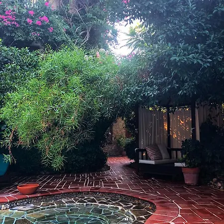 艾莉维诺套房酒店