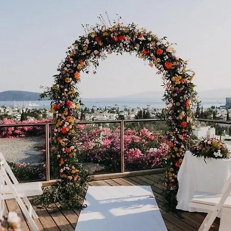 艾莉维诺套房酒店