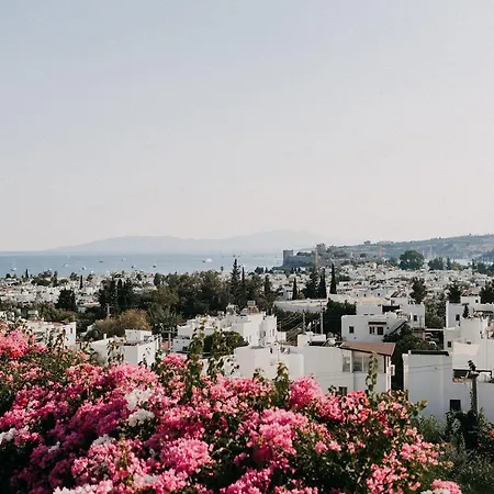 El Vino & Отель