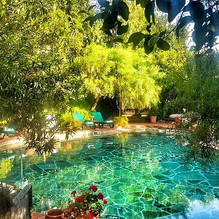 El Vino & 3* Bodrum